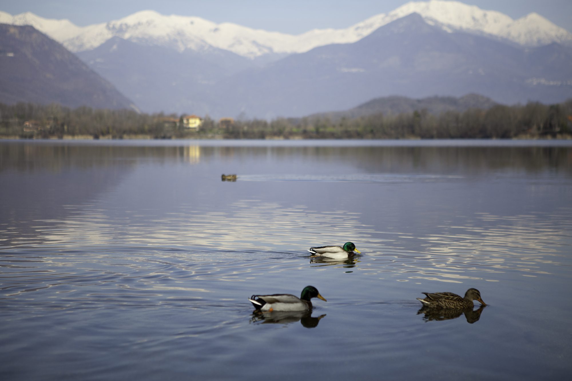 Lago Piccolo di Avigliana