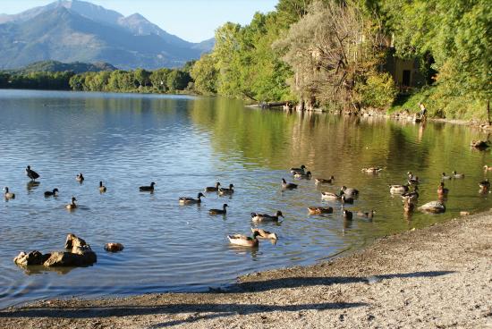 Parco Naturale dei Laghi di Avigliana